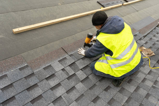 Best Roof Gutter Cleaning  in Mount Pleasant, MI