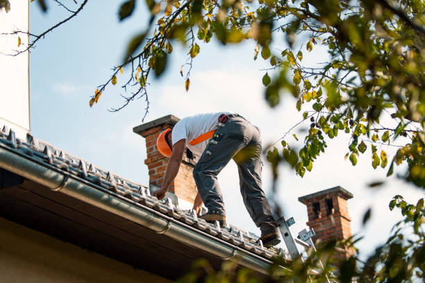 Best Emergency Roof Repair  in Mount Pleasant, MI