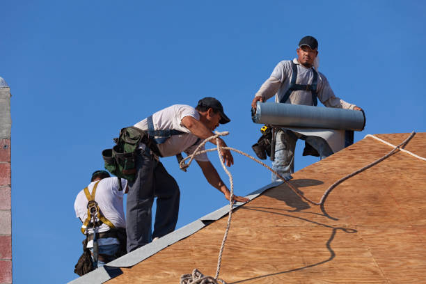 Best Roof Repair Services  in Mount Pleasant, MI