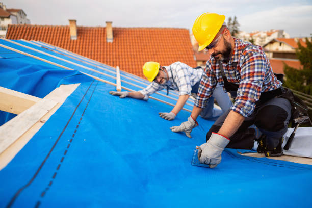 Roof Gutter Cleaning in Mount Pleasant, MI